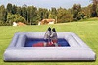 Inflatable Sumo Ring or Inflatable Gaga Pit