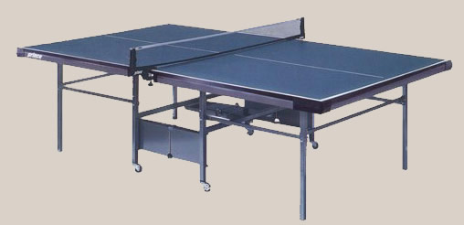 Ping Pong Table